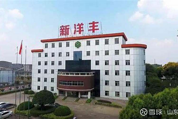 湖北省或周边省市有哪些炼油厂