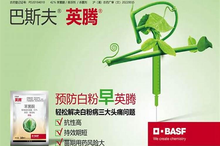 克露(霜脲锰锌)的有效成分是什么？性状如何？主要可防治哪些病害？
