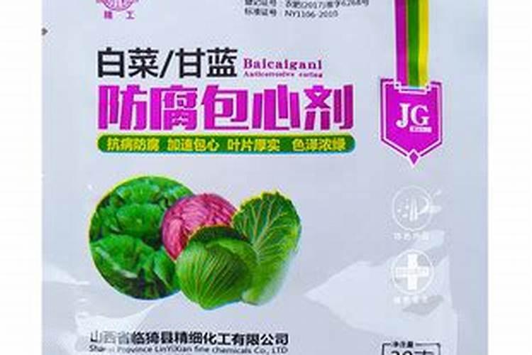 秋冬甘蓝栽培技术
