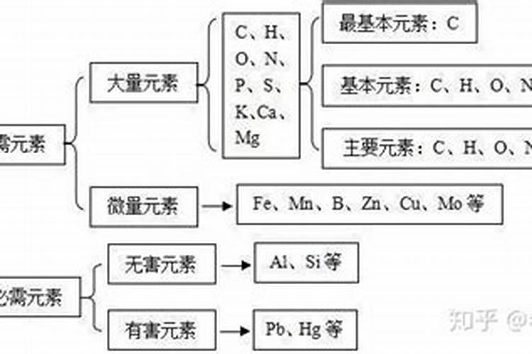 植物生长需要什么营养物质