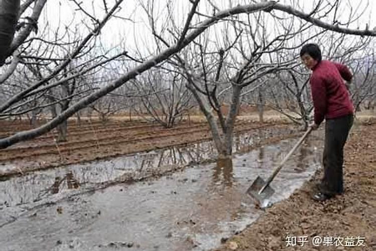 黄腐酸钾水溶肥有什么作用？主要功效是什么？