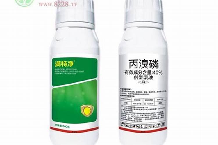 请问红蜘蛛吸白的叶子怎么挽救