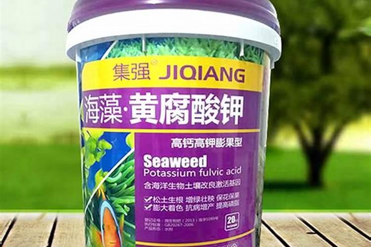 冬季大棚种植黄瓜用海藻精还是矿源黄腐酸钾好