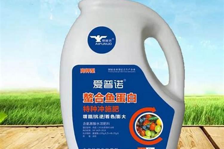 石菖蒲的养殖方法