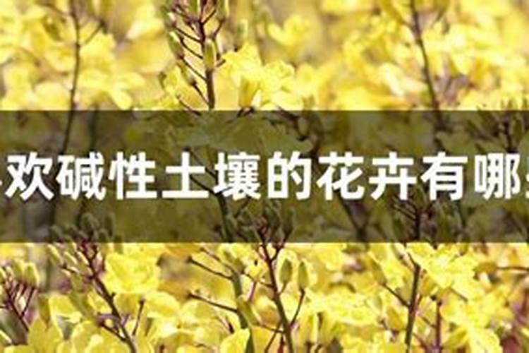 为什么施肥要注意花卉的种类？