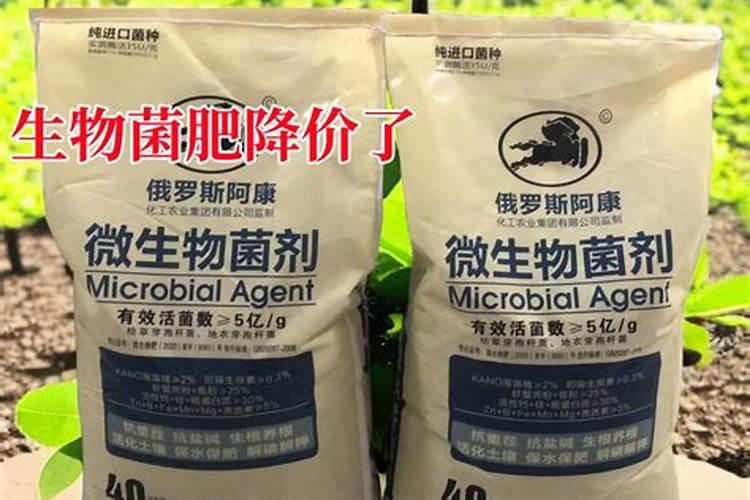 大豆有机肥用什么菌最好