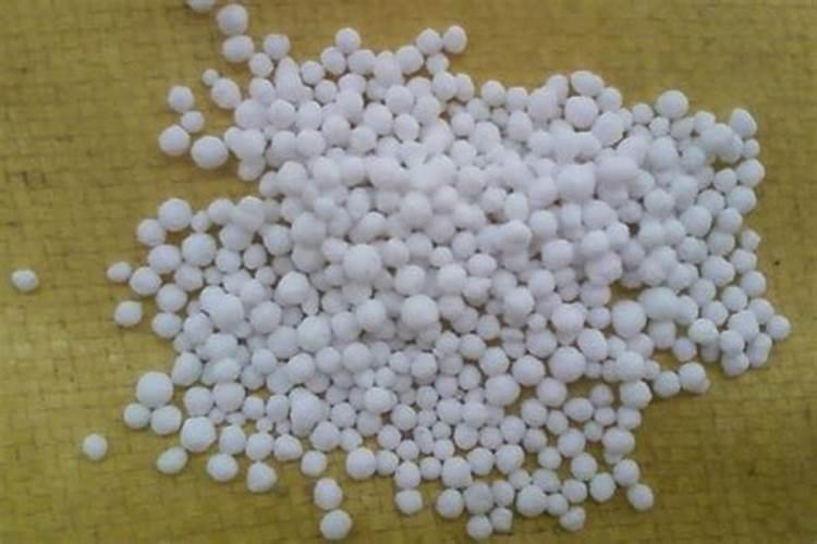 玉米钾肥的正确使用方法