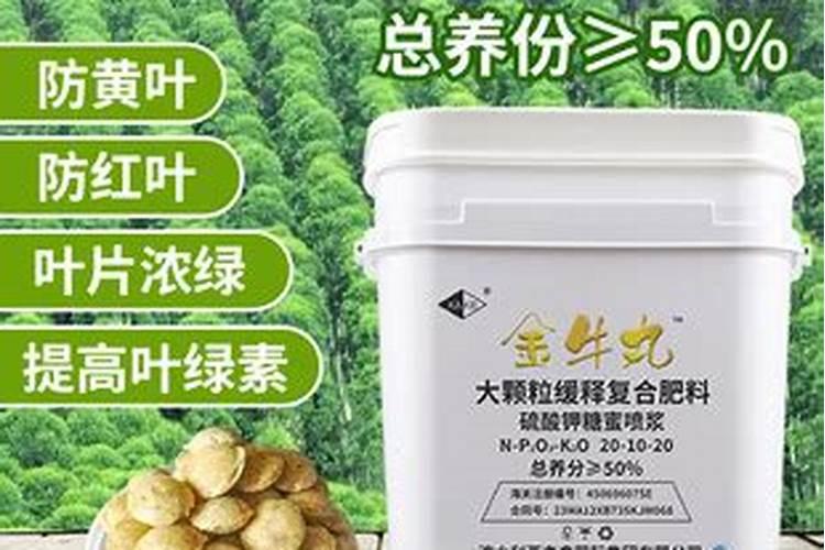 花椒树能冬灌吗？