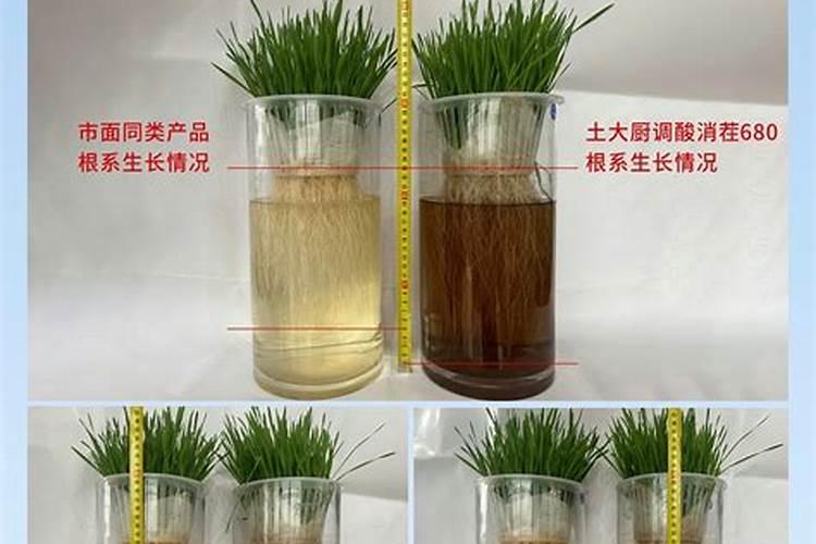 较为常见的三氯杀螨醇,是什么性质的农药？