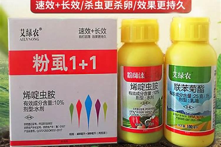 彩椒白粉病,白粉虱,脐腐病,怎么防治？