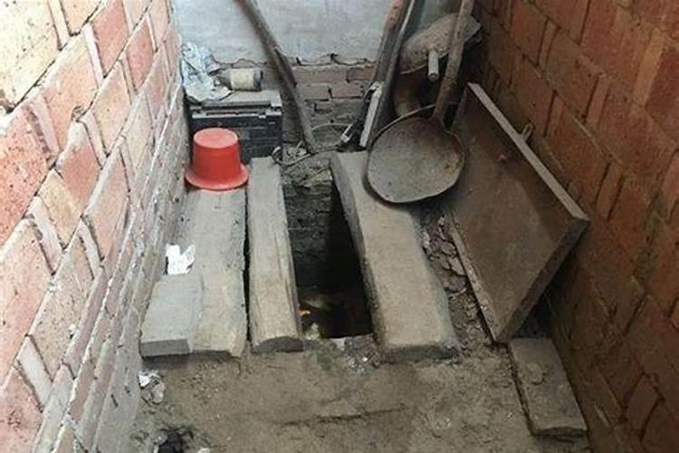 水溶肥有哪些