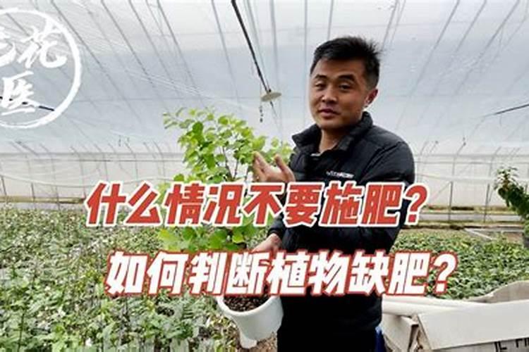 如何判断花卉是否缺肥