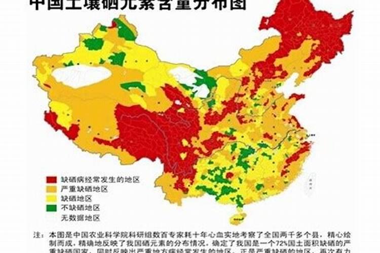 P. 是什么