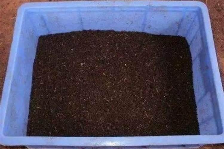蚯蚓粪有什么作用和用途？