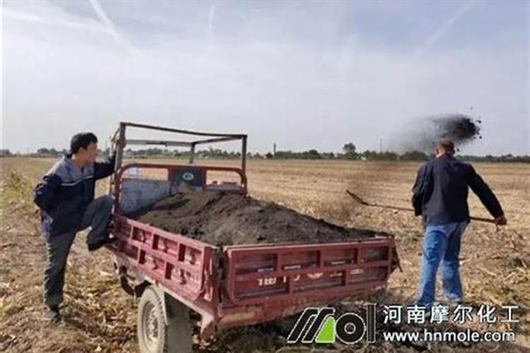 农业生产中铵态氮肥为什么不可与碱性物质混用