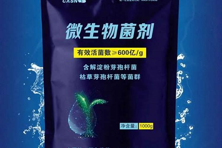 磷肥用于哪些花