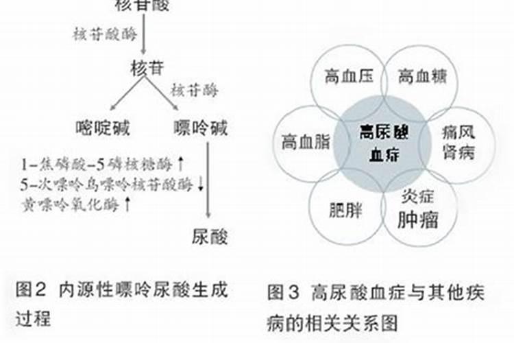 大量元素肥料指的是什么