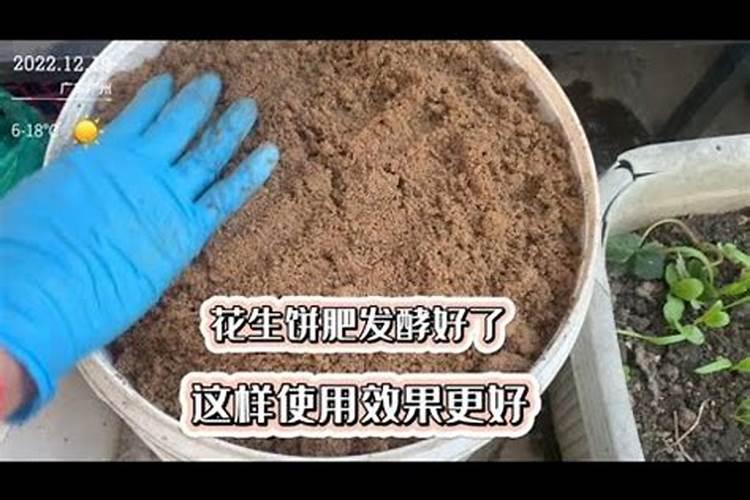 如何稀释花生麸水？