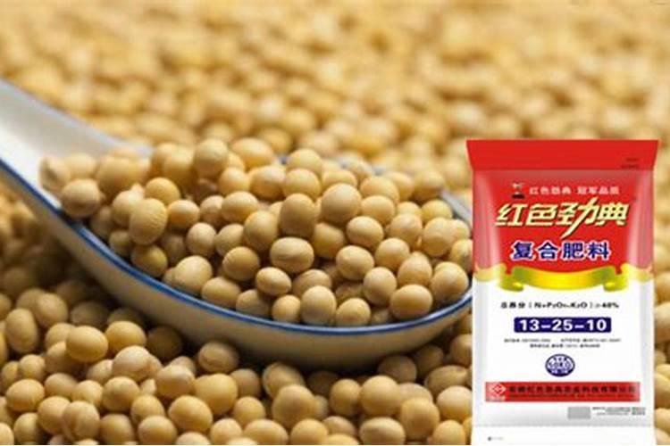 大豆什么时间施肥最好