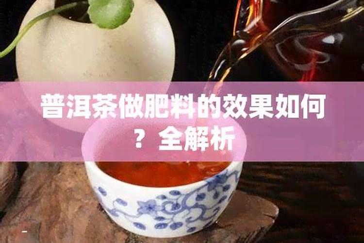 茶叶怎么做肥料