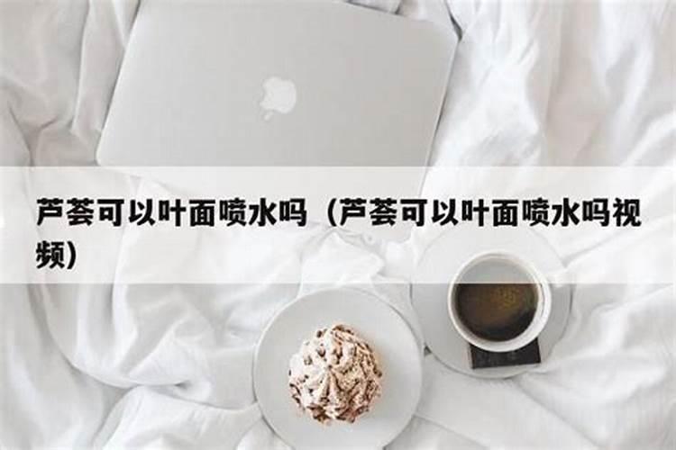 芦荟怎么养 做好这六点