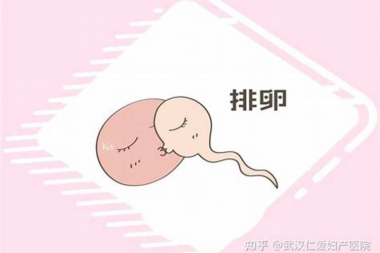枣树施肥应该注意什么