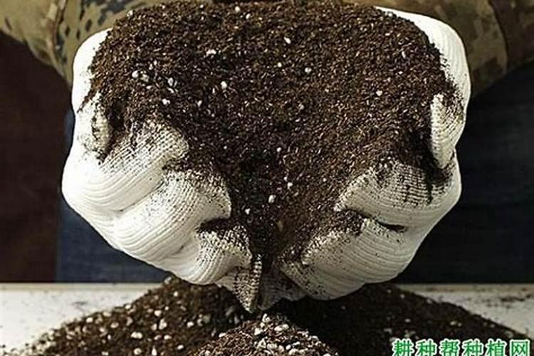 生物钾肥是什么？可以请专家们介绍一下吗？怎样使用好一些？