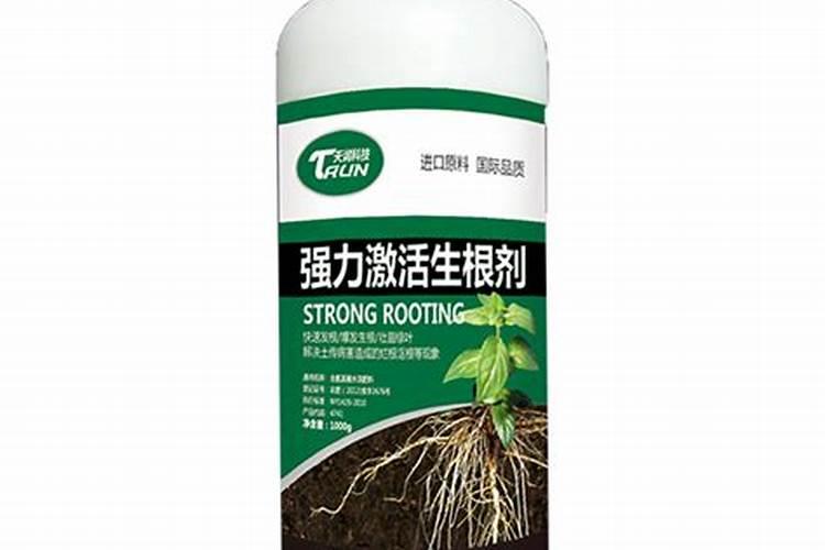 强力生根剂怎么用