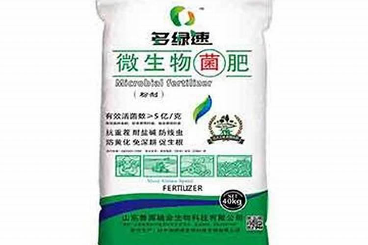 黄瓜浇什么肥料合适
