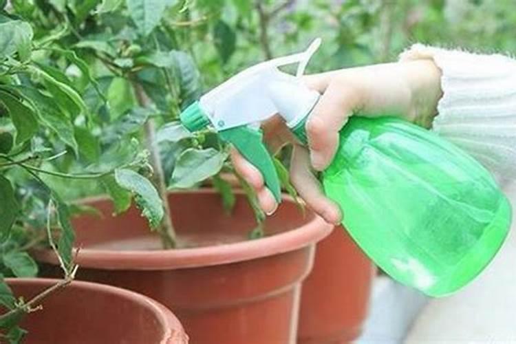 氮肥可以兑水浇花吗