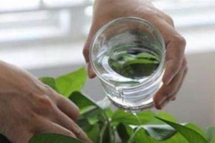 花草复合肥的使用方法