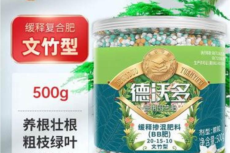 文竹发黄用什么肥料好