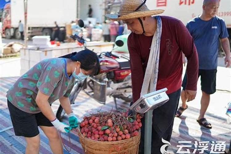 提高黄桃产量和品质的栽培管理技术有哪些？