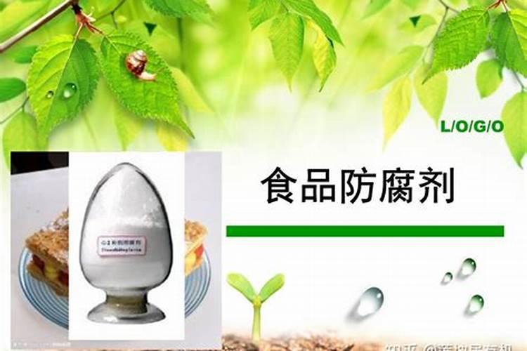 啤酒浇花好吗怎么浇