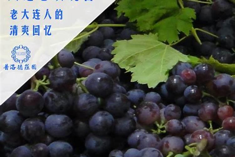 磷酸二氢钾一亩葡萄喷叶面肥用多少
