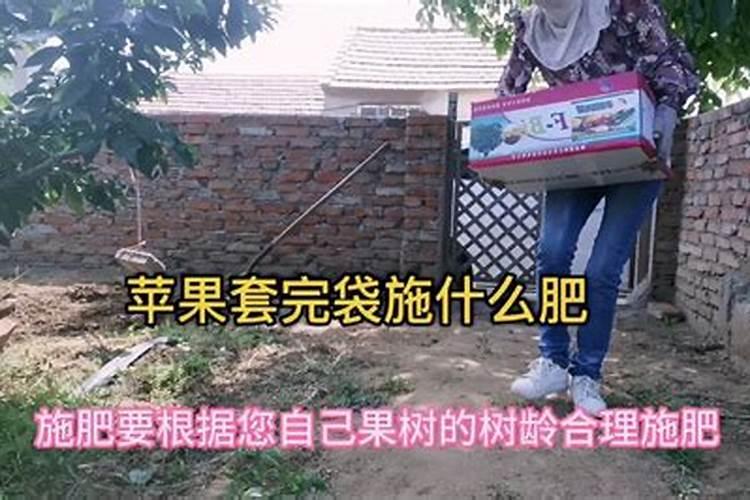 苹果套袋可以施水溶肥吗