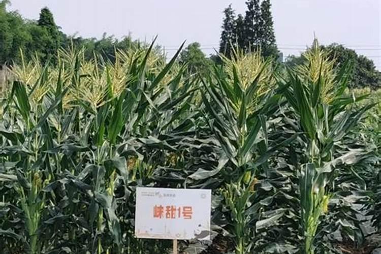 铁391是哪个公司的产品