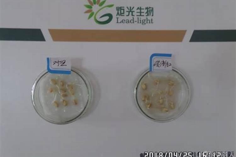 含腐殖酸的肥料有什么作用？