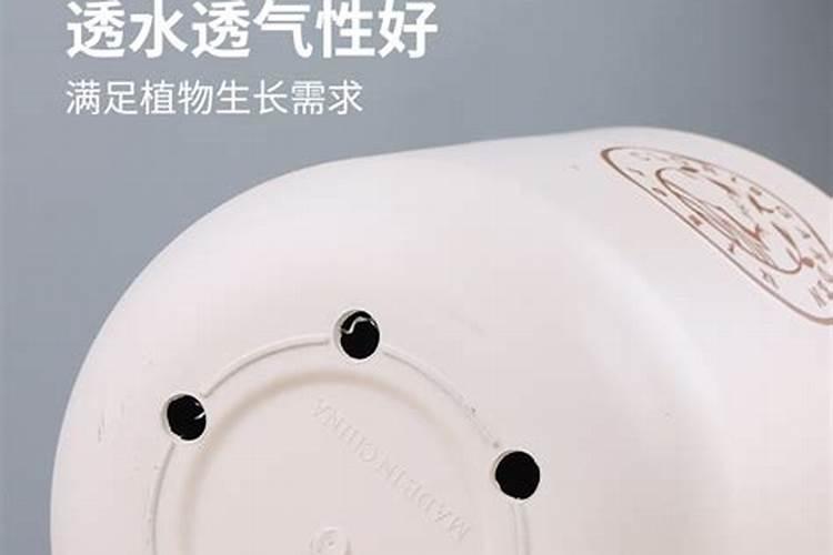种木瓜施什么肥