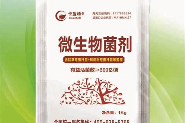 黄瓜用什么肥料能增产