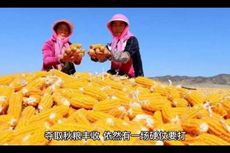 磷肥用于什么农作物 附使用方法