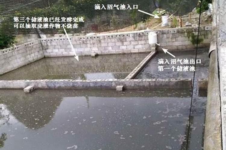 自制底肥用什么好？