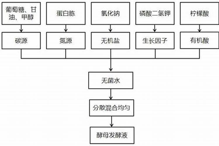 鱼蛋白自制配方比例