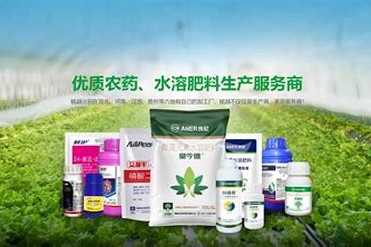 茶水可以浇树吗