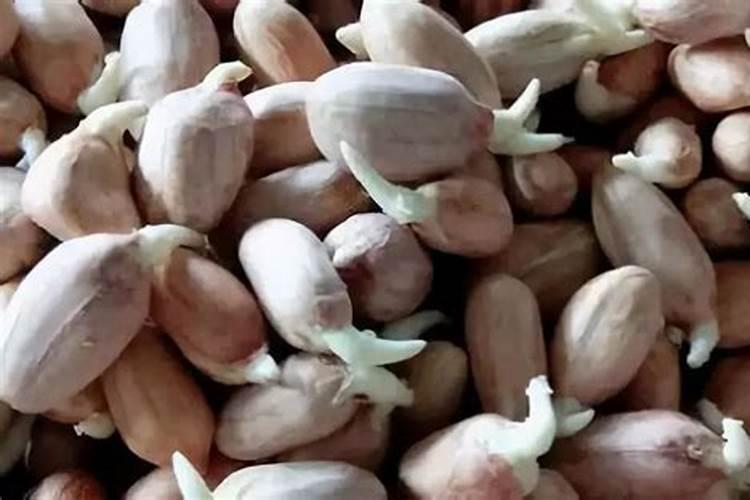 种花生用什么肥料最好高产