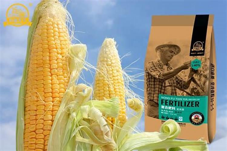 种玉米最好的复合肥