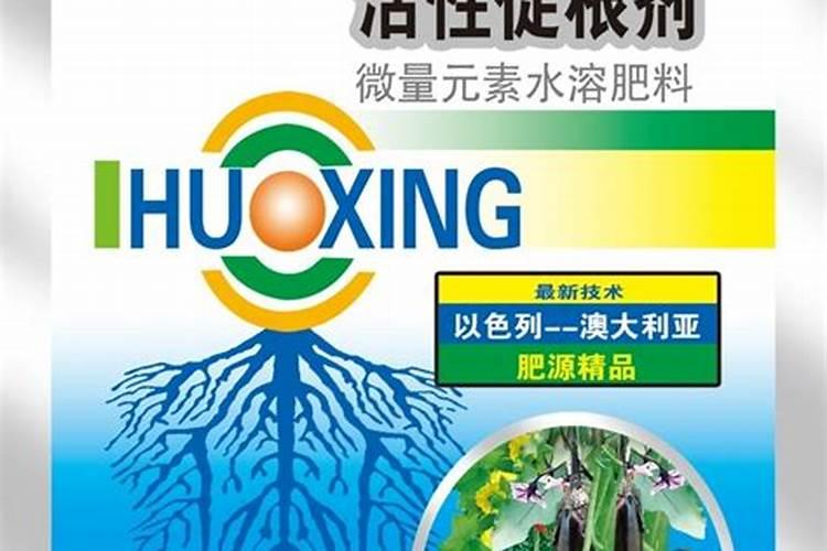 什么肥料促进根系生长
