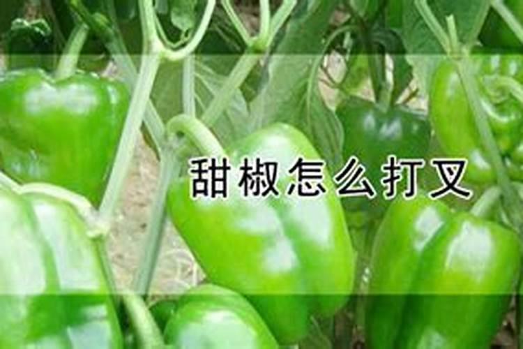 请问专家,甜椒保花保果用什么药好!？
