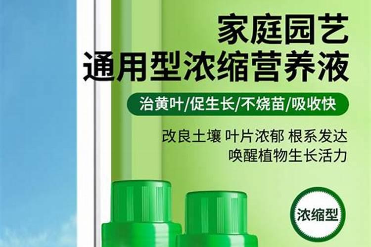 水溶肥是什么肥料