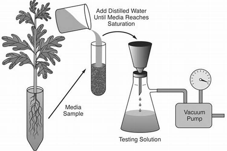 家庭养花养草一个月多少钱